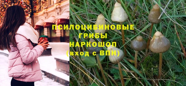 стаф Баксан
