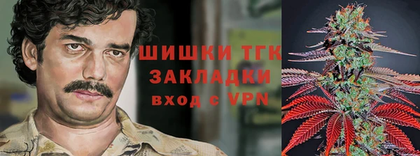 шишки Семёнов